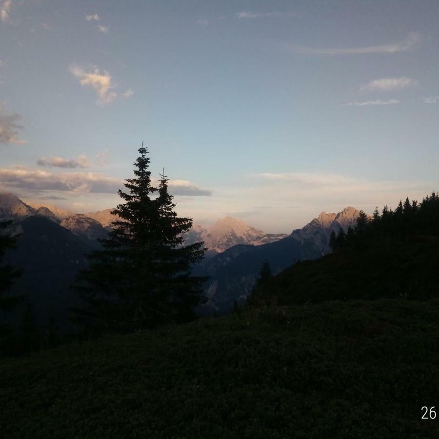 Appartamento Da Nicola e Laura Santo Stefano Di Cadore Esterno foto