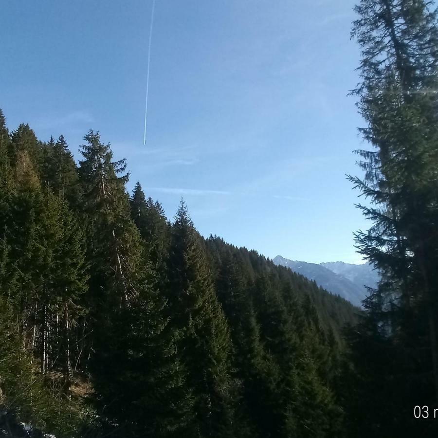 Appartamento Da Nicola e Laura Santo Stefano Di Cadore Esterno foto